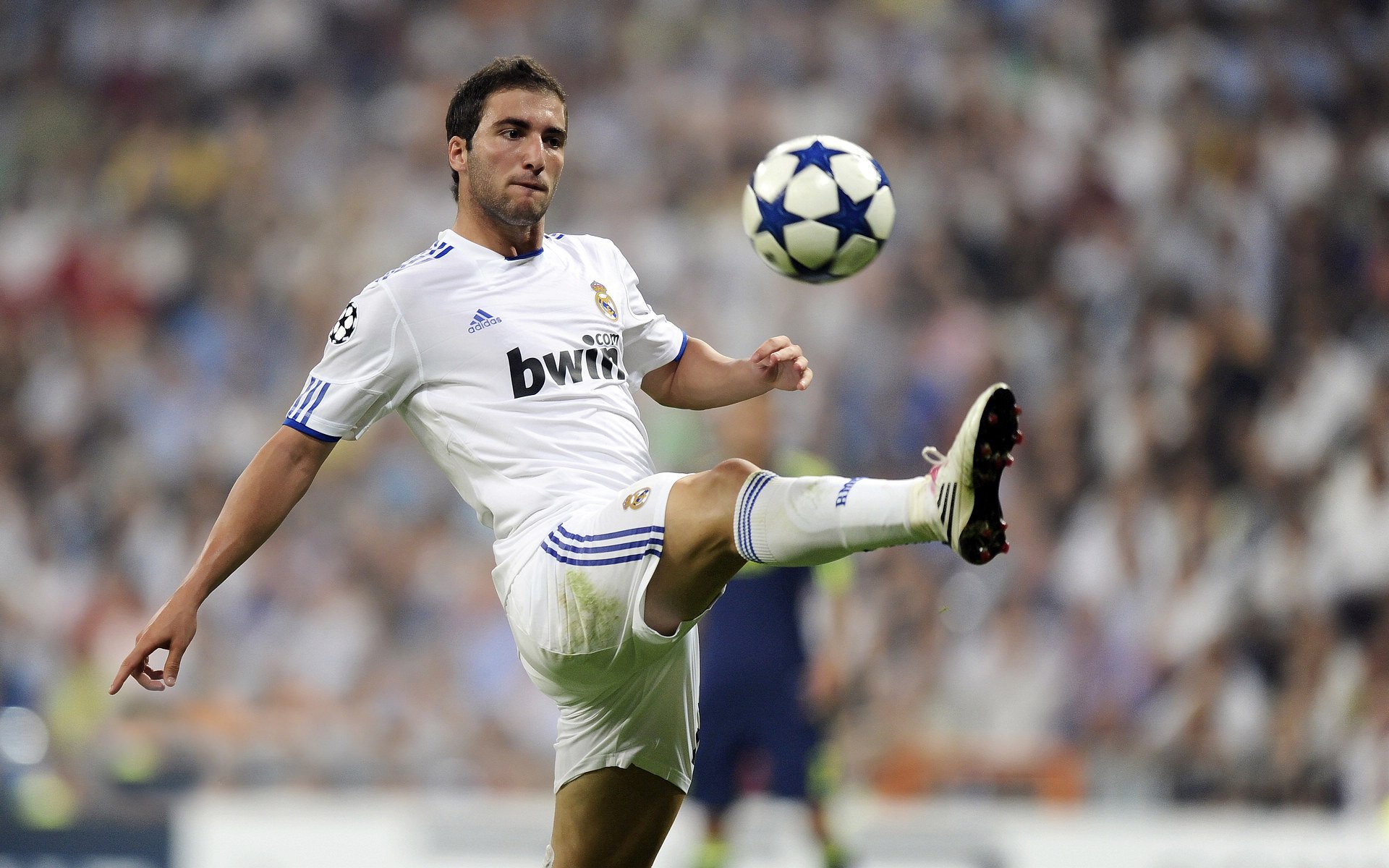 库里爆发与辽宁突围，当勇士精神邂逅东北虎的坚韧