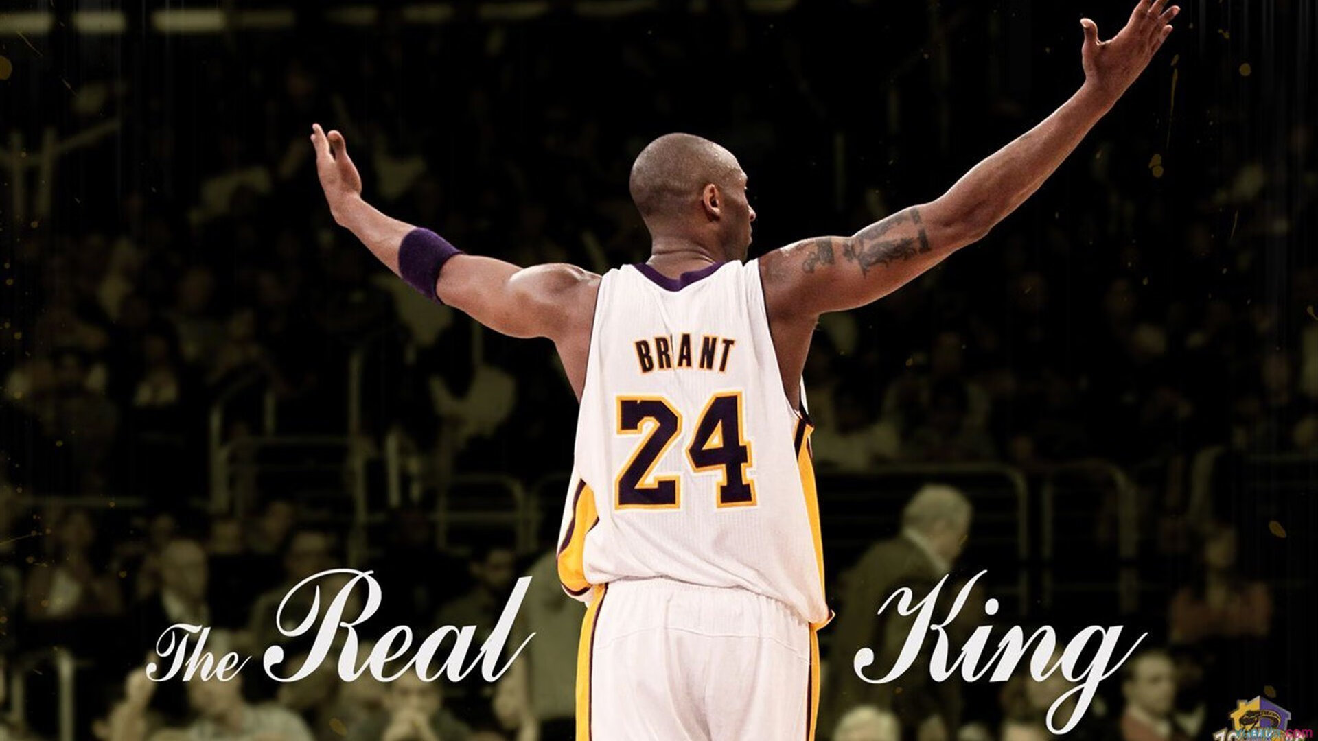 布克关键进球定乾坤，76人打穿鹈鹕